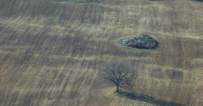 Onde di terra...