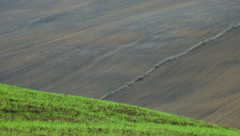 Onde di terra...