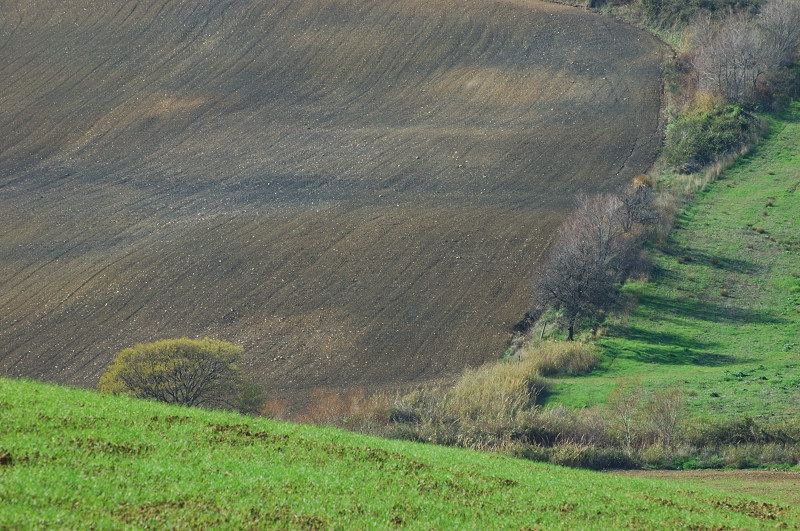 Onde di terra...