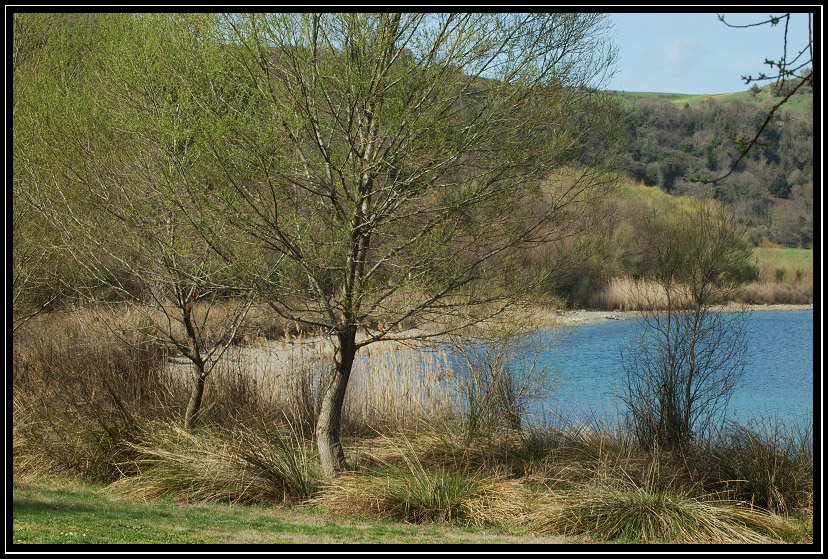 Il Lago di Martignano