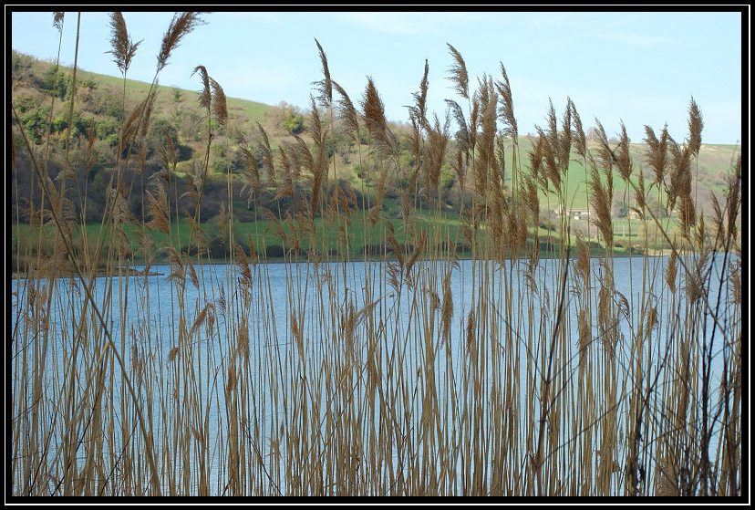 Il Lago di Martignano