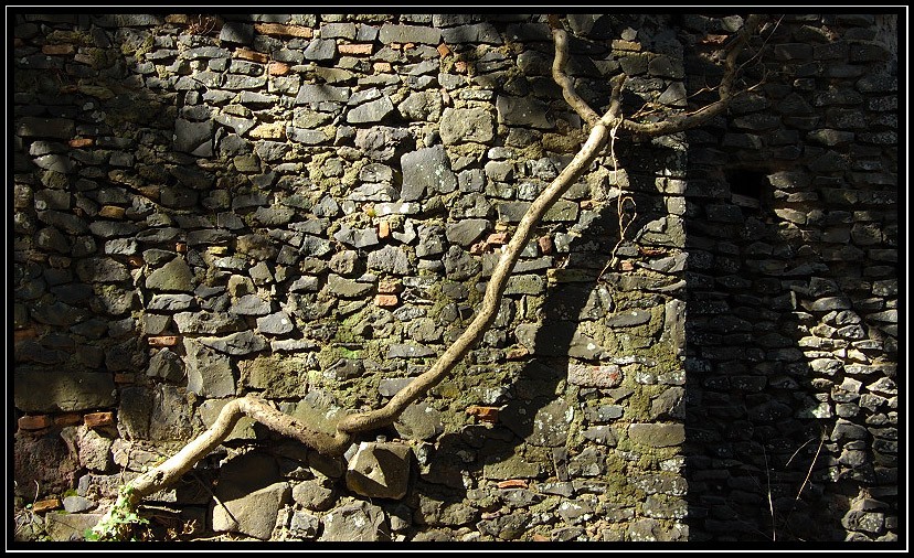 Monumento Naturale Galeria Antica