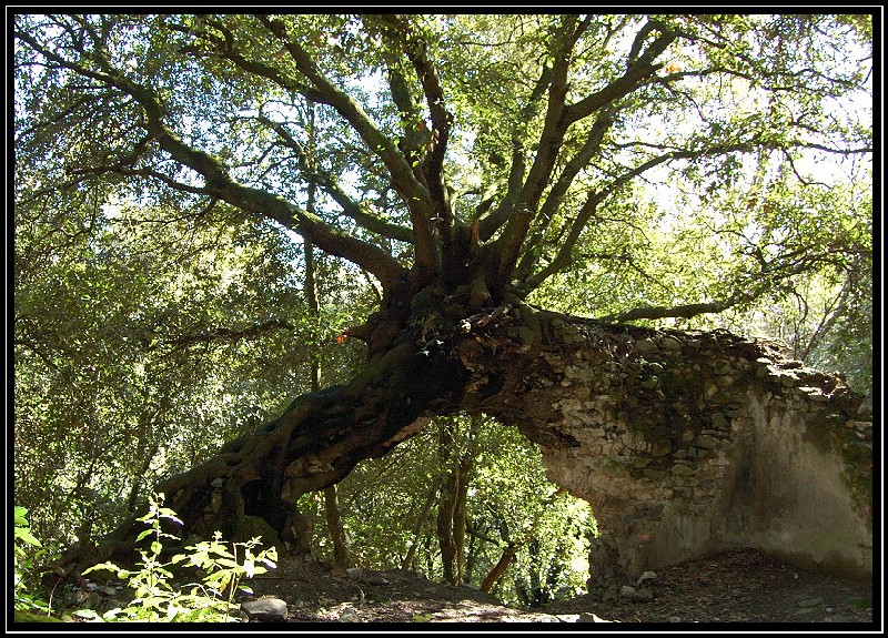 Monumento Naturale Galeria Antica