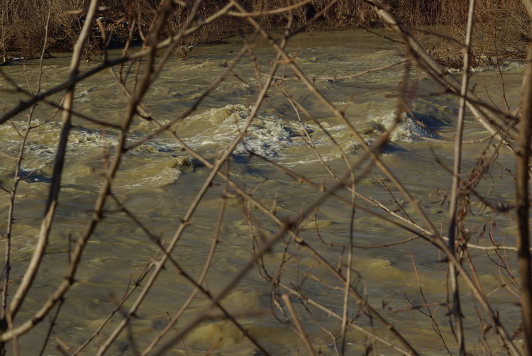 Quintole: due passi sulla riva d''Arno