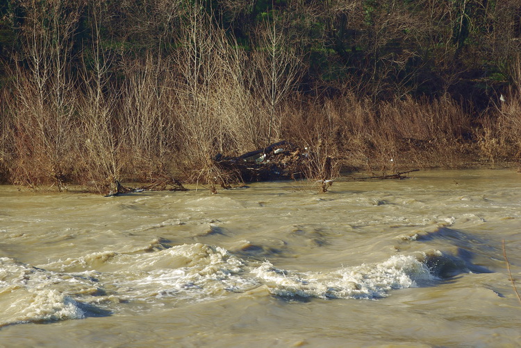 Quintole: due passi sulla riva d''Arno