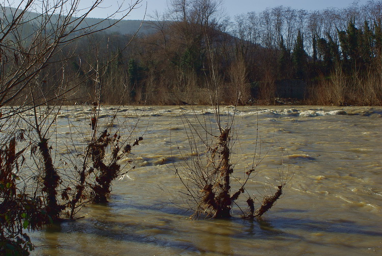 Quintole: due passi sulla riva d''Arno