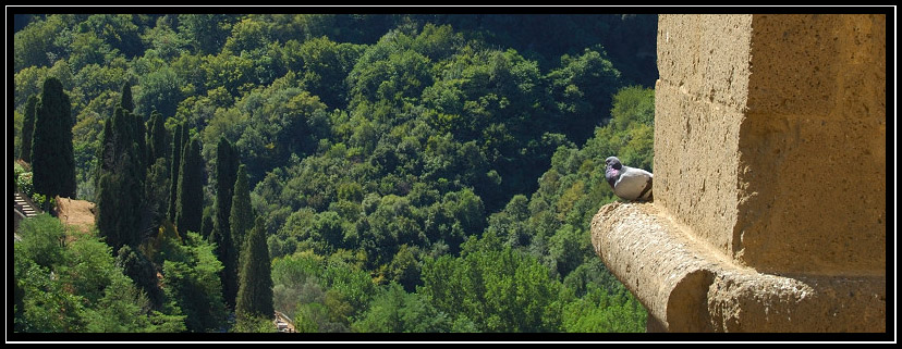 Pitigliano