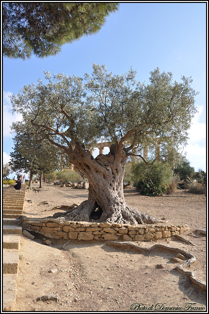 Agrigento e dintorni...